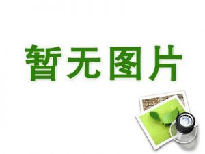 SEO技巧：新网站如何在短时间内获取权重和排名？