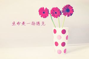 以诚待人的名人语录